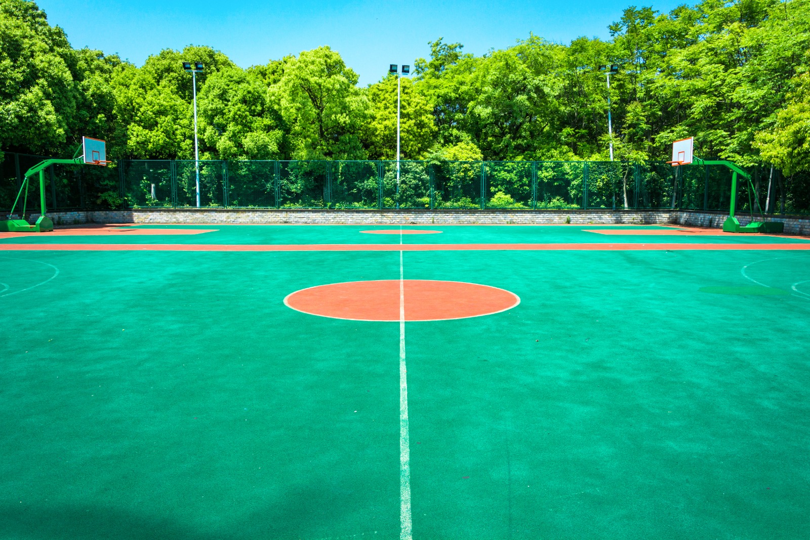 The Arena